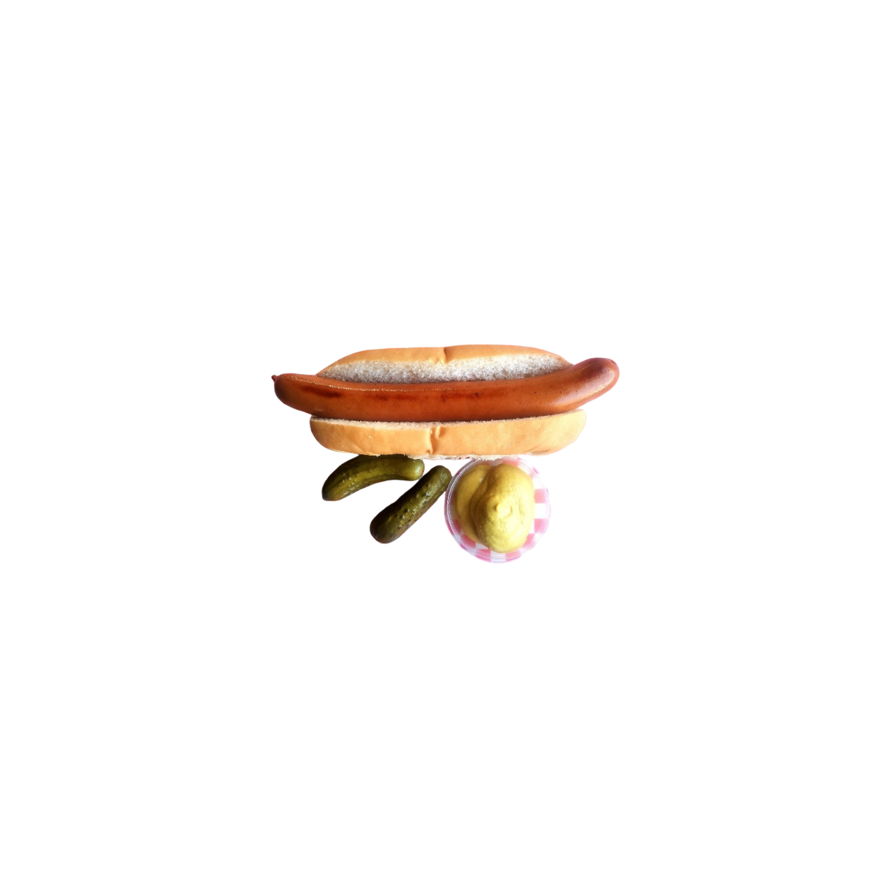 Hot Dog